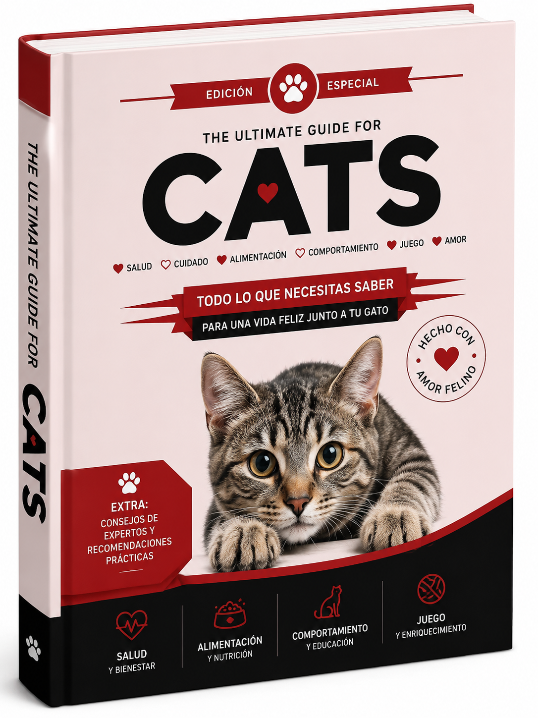 How to connect with your cat